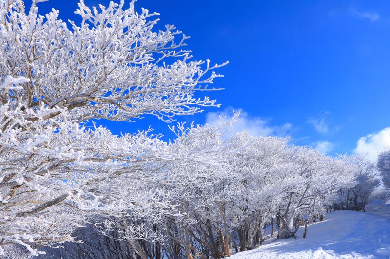 ウェブ、雪山登山