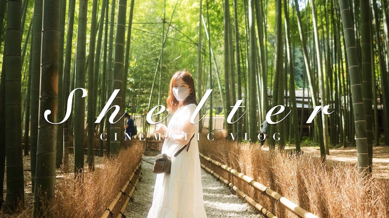 □web、動画撮影