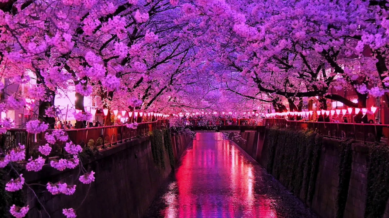 wwd japan、やた散歩（街歩き・旅行記）