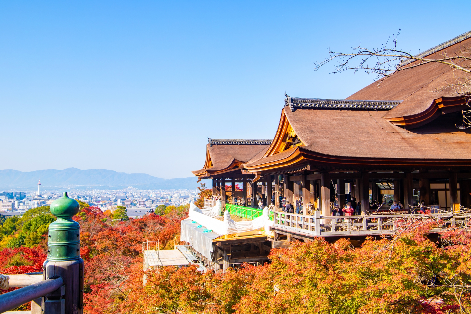 【京都好き必見】市外穴場観光スポット3選 - バスレポ