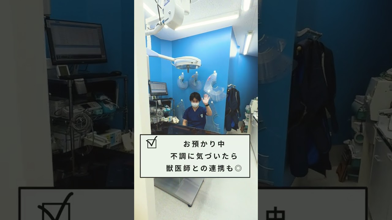 展示会、対談