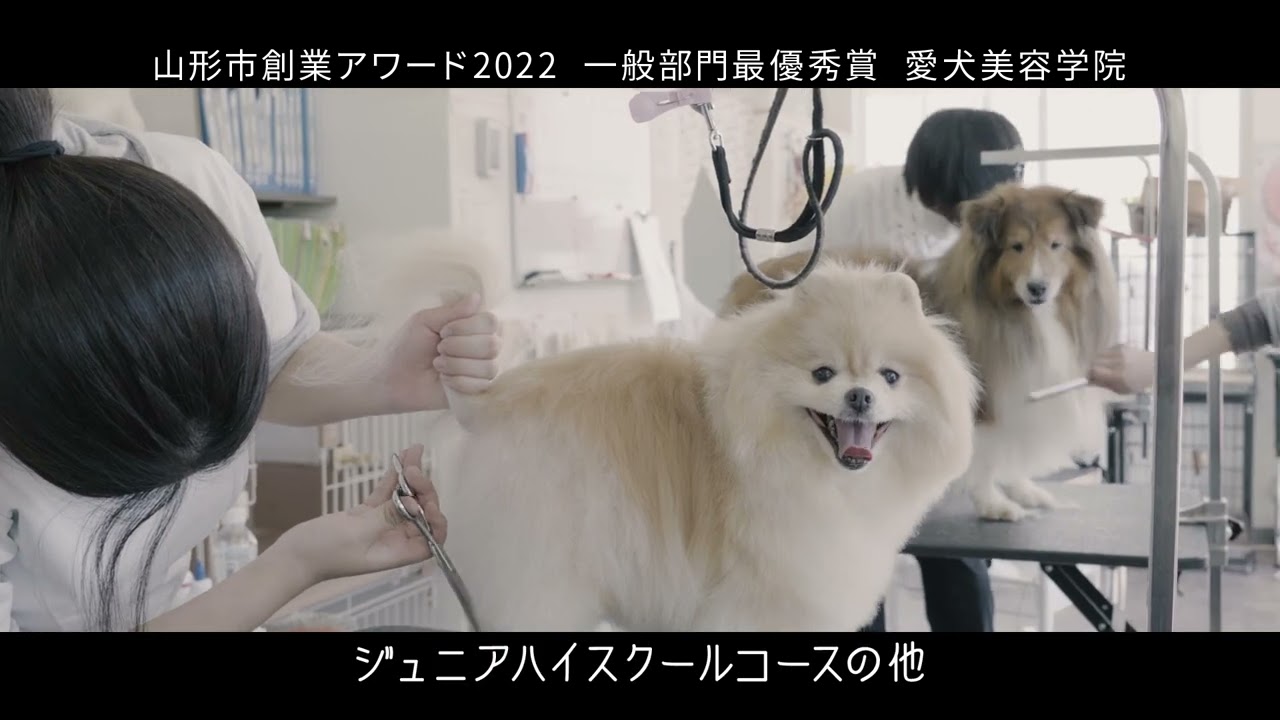 トリマー養成学校PV