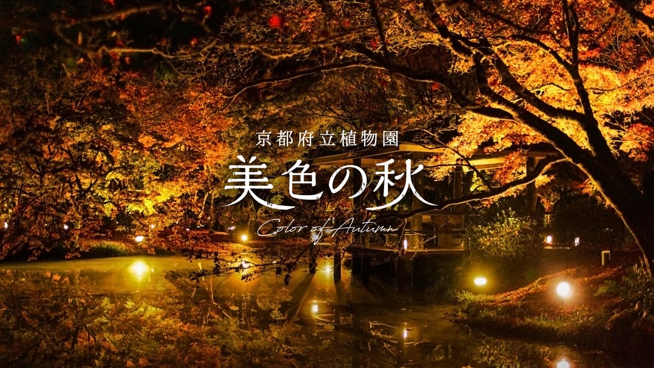 広告、ran tonosho