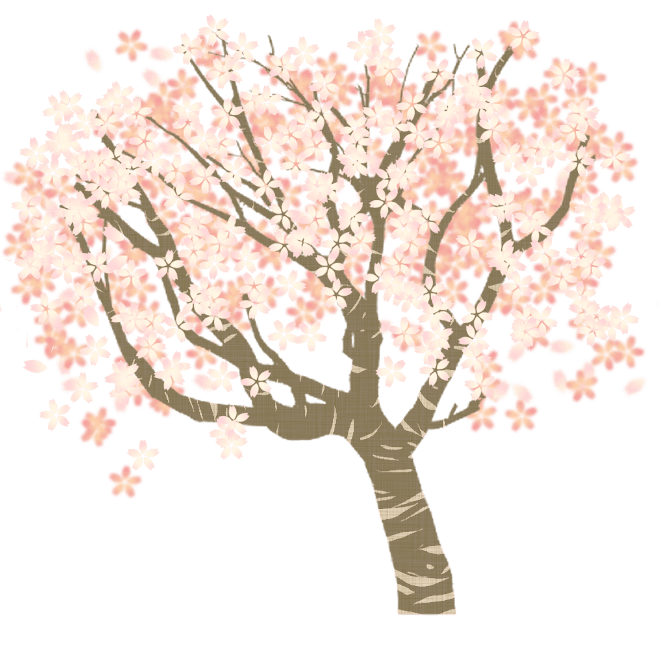 ノウゼンカズラ その他花たち ノウゼンカズラ その他花たち