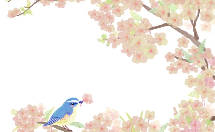 デジタル画／桜・小鳥
