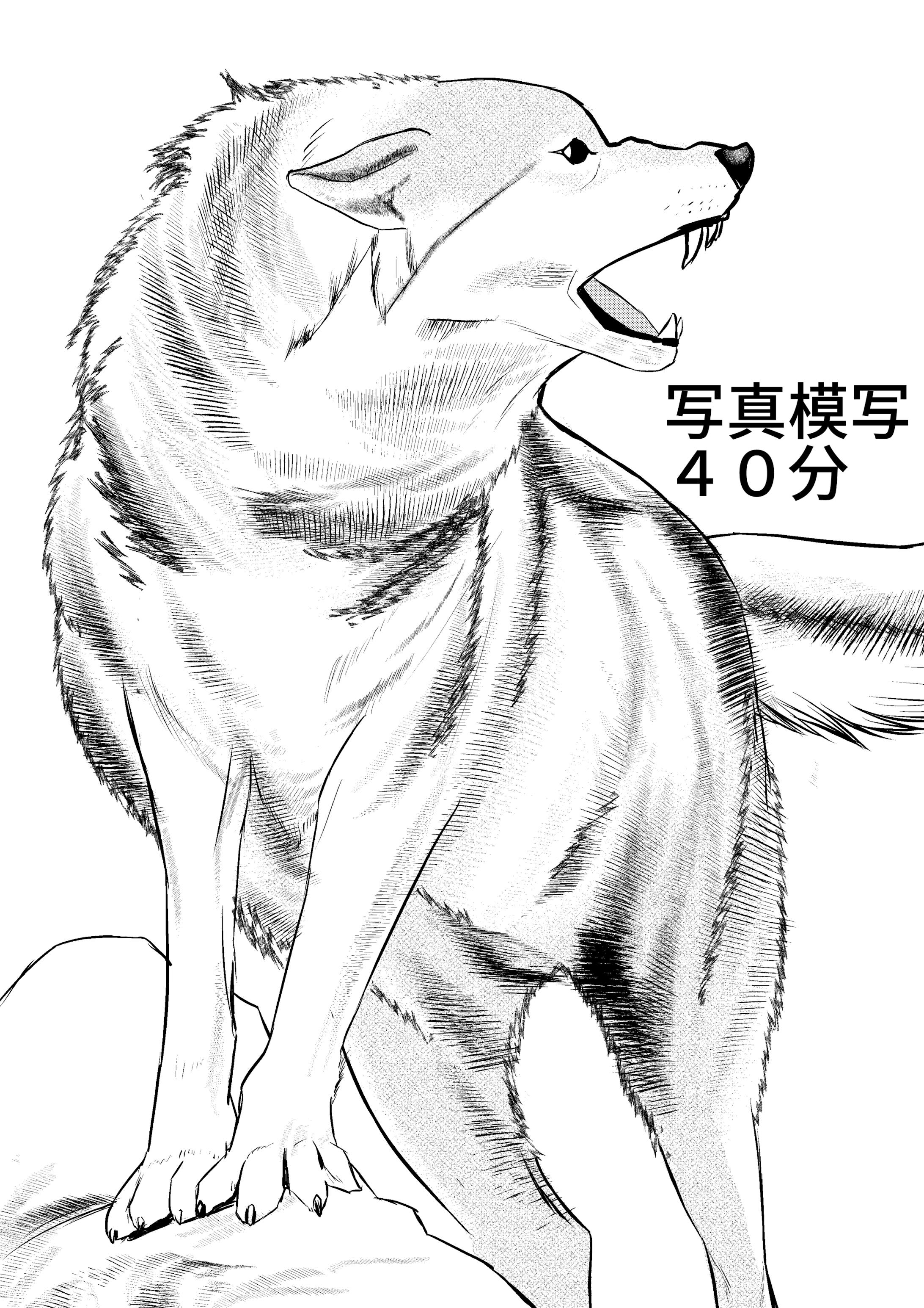 写真模写 背景と小物のサンプル 写真模写 背景と小物のサンプル