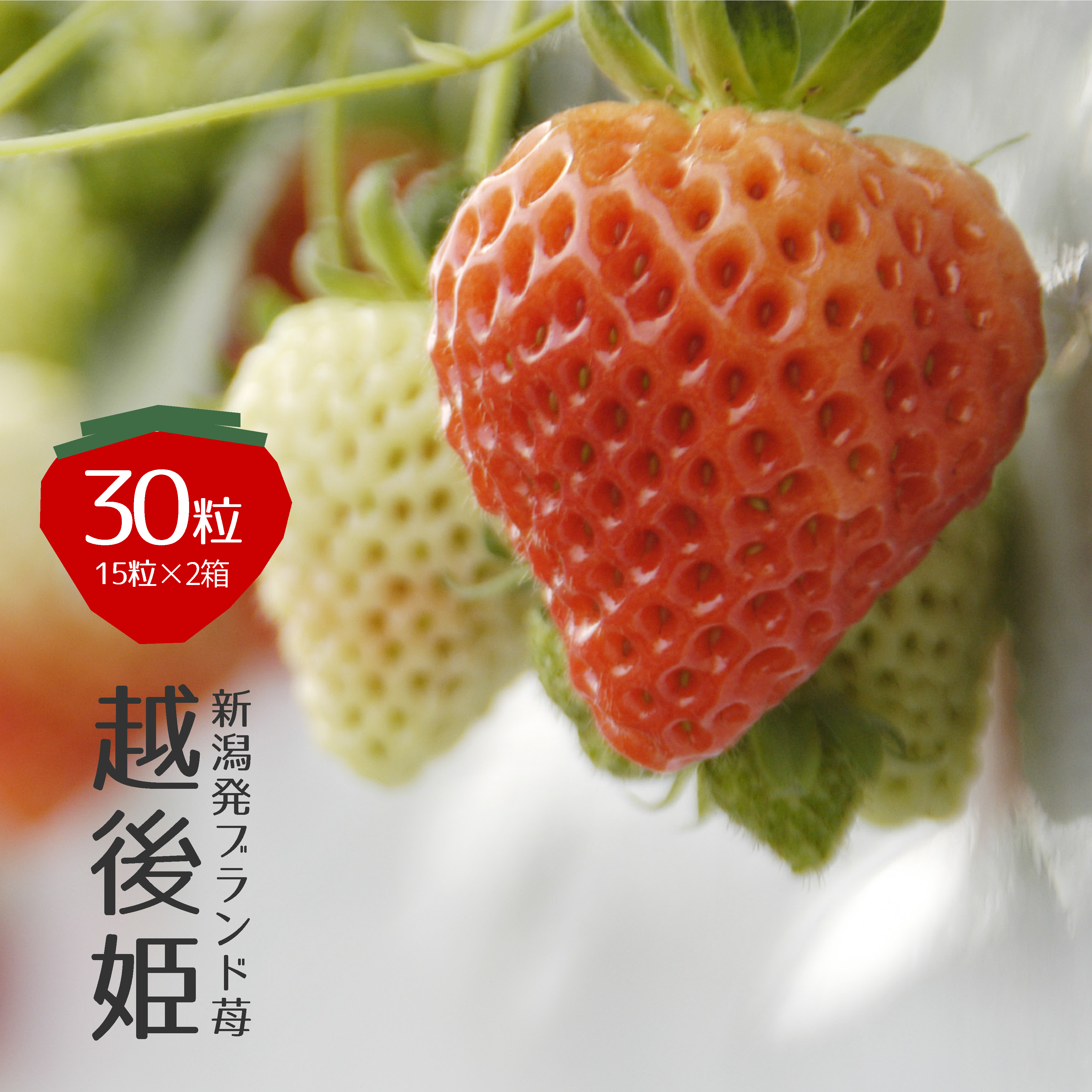 《商品画像》越後姫×えちご美人-1