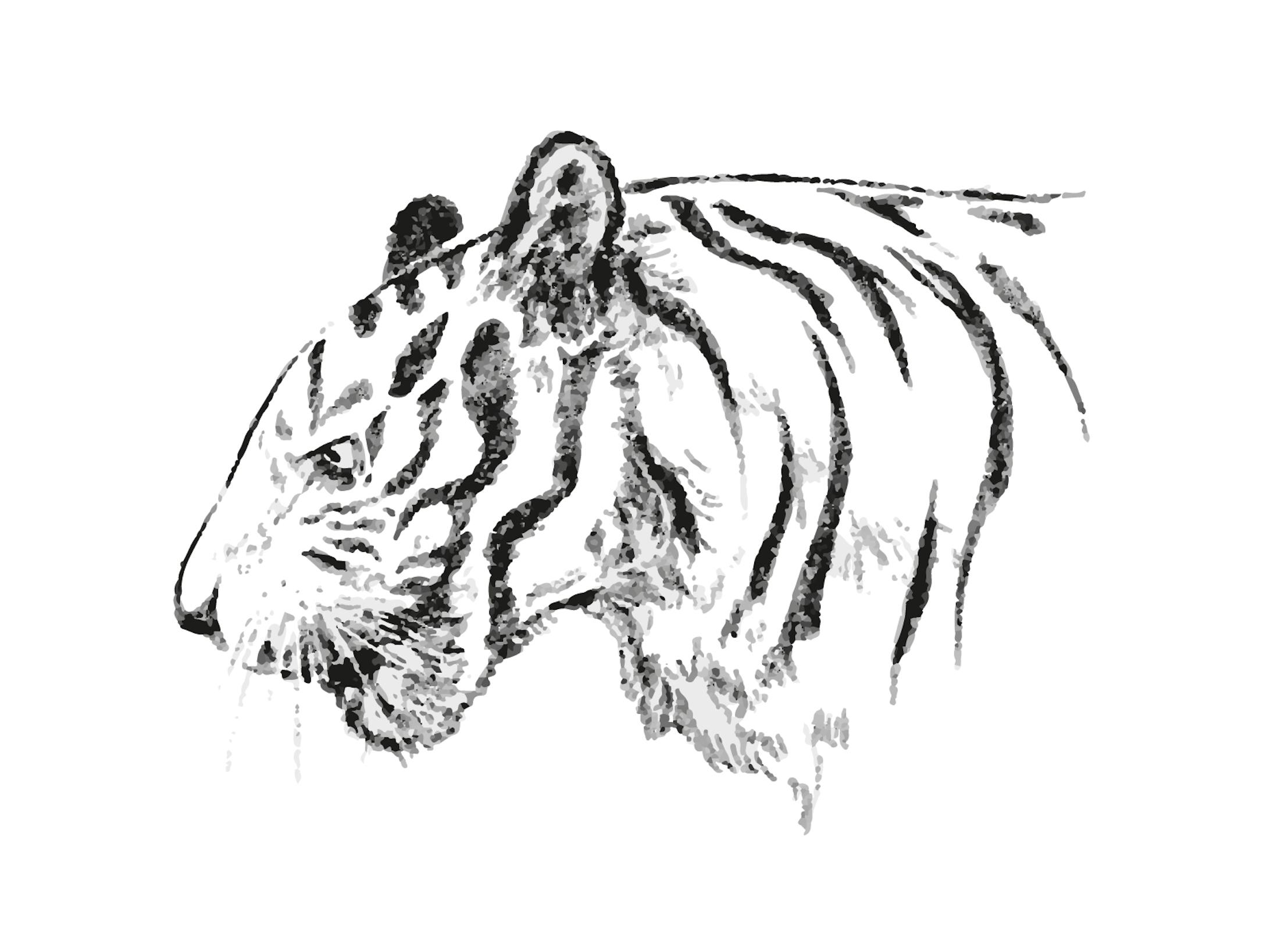 虎のイラスト