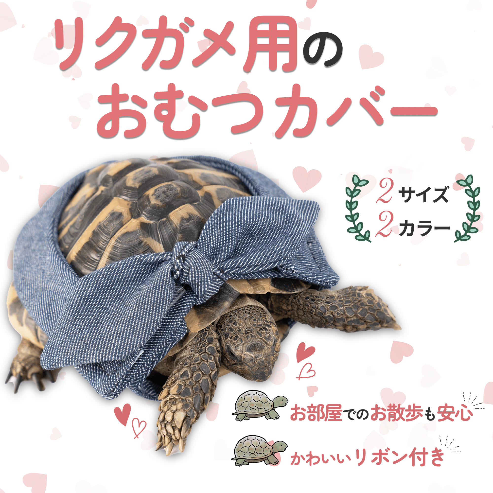 ECサイト用商品画像-1