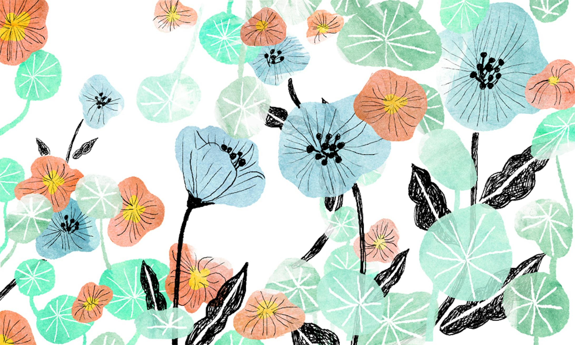 ボタニカルイラスト