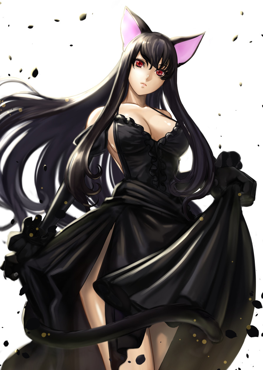 えぃわ Eiwa Foriio