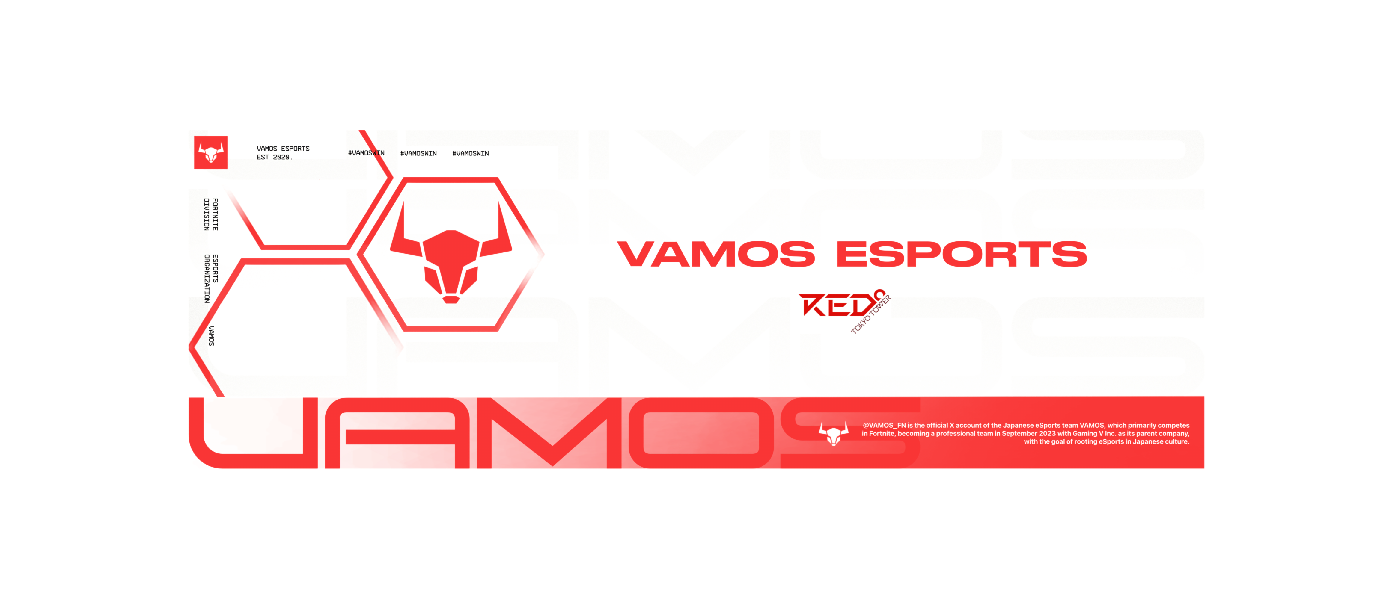 VAMOS ESPORTS-1