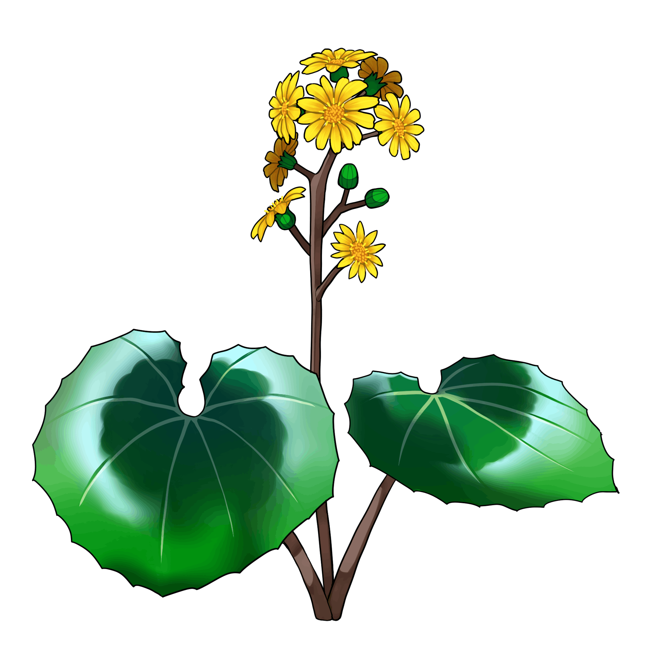 野草イラスト2 野草イラスト2