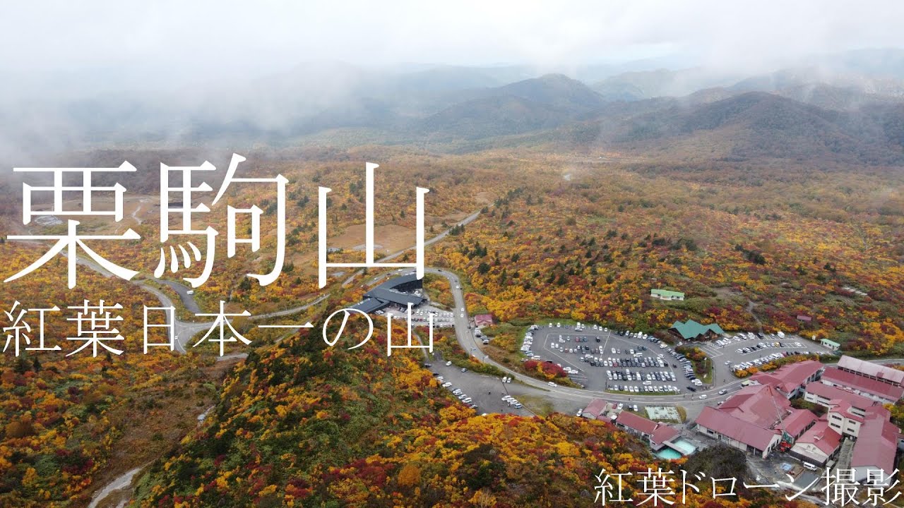 撮影、道の駅.com