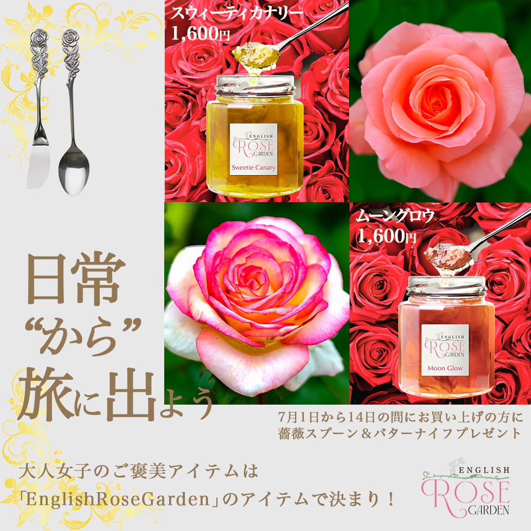 アドビカレッジ　卒業作品-1