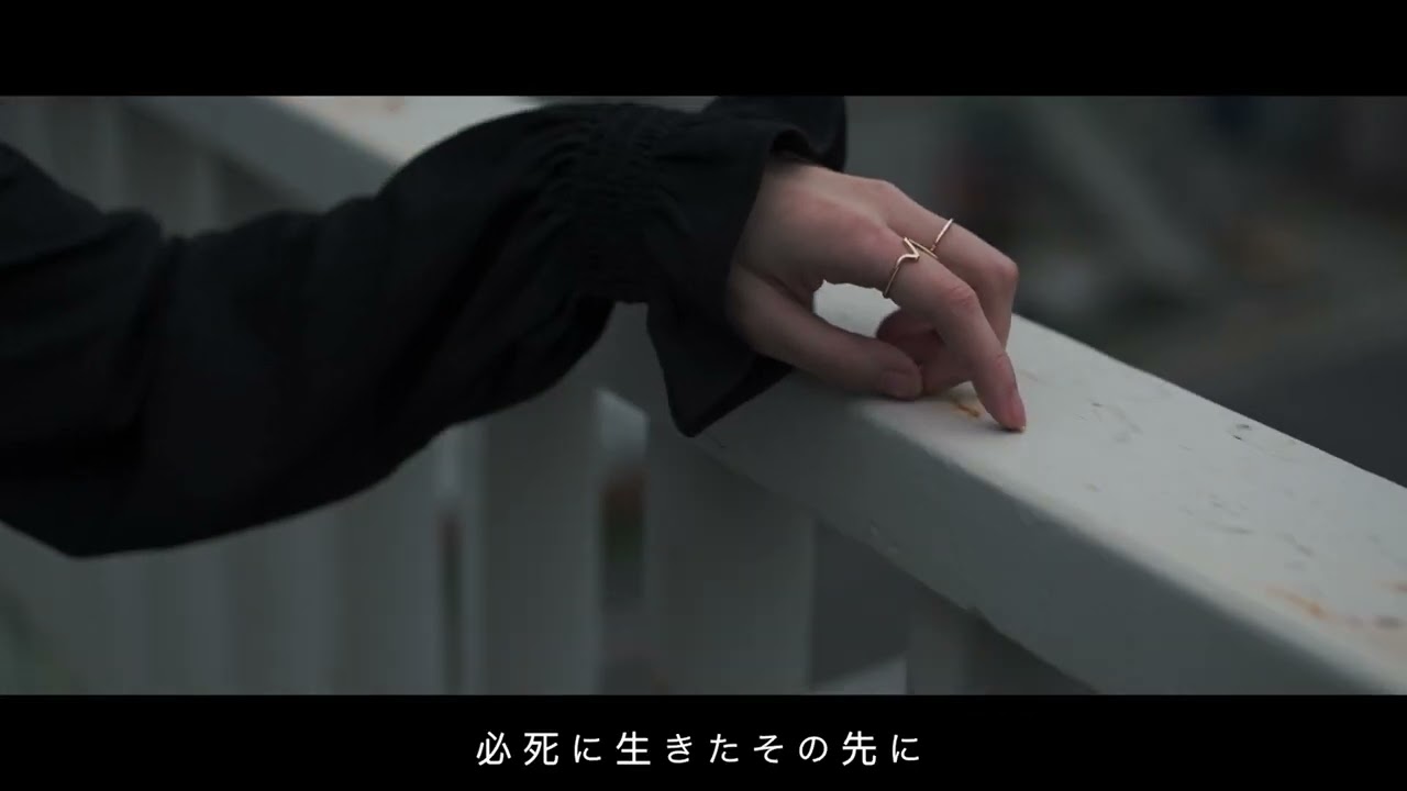 動画撮影、live