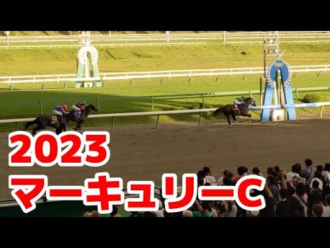 【現地観戦】マーキュリーカップ2023