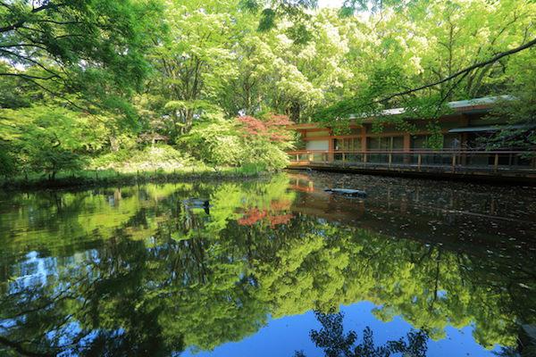 「三種の神器」に贈与税？　生前退位で注目を集めた「税制の波紋」 | ZUU online