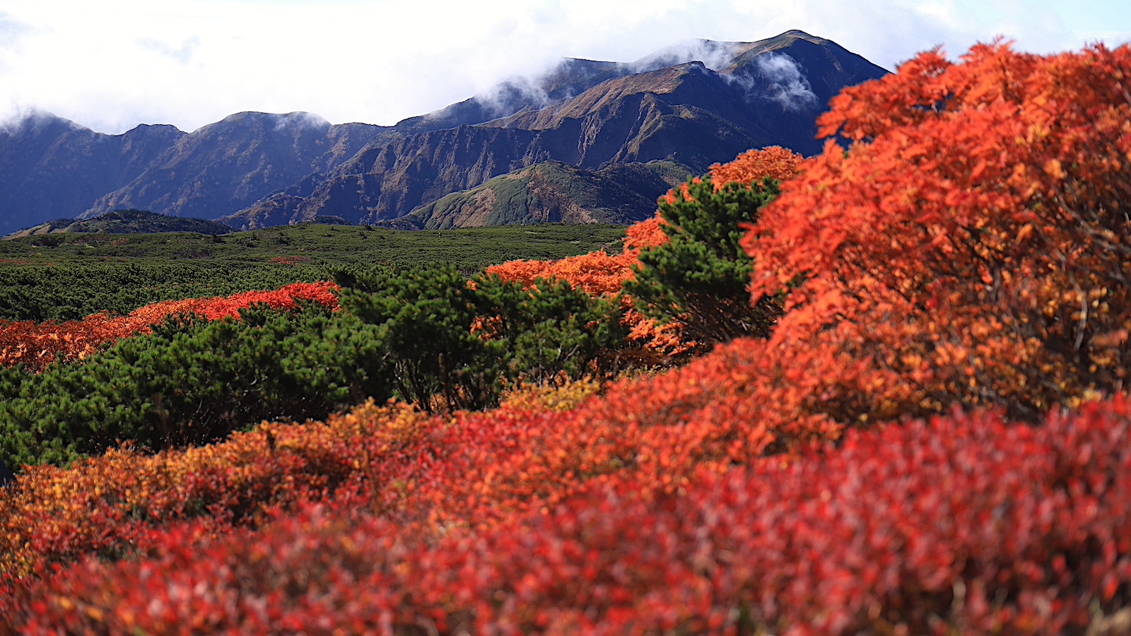岐阜屈指の紅葉登山。秋の霊峰「白山」平瀬道ルートで紅葉と山岳絶景を大満喫！
