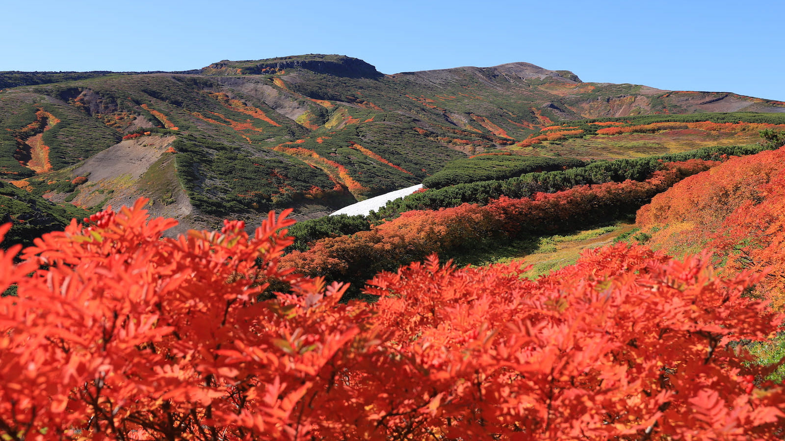 日本一早い紅葉を求めて。北海道の屋根・大雪山「御鉢平一周コース」ぐるりレポート