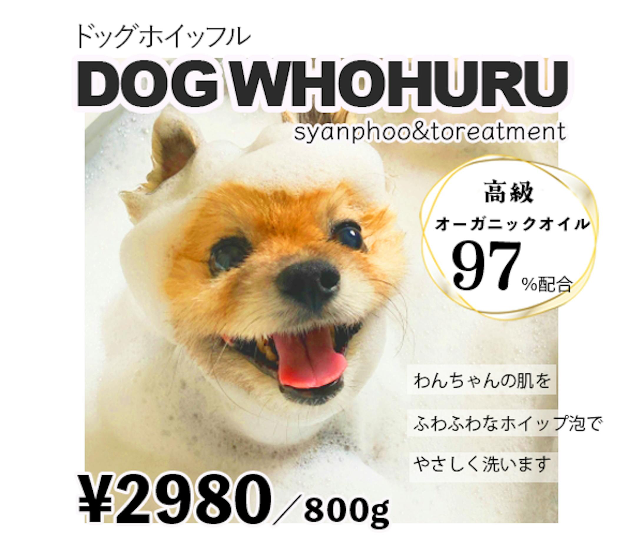 わんちゃんシャンプー（バナー）-1