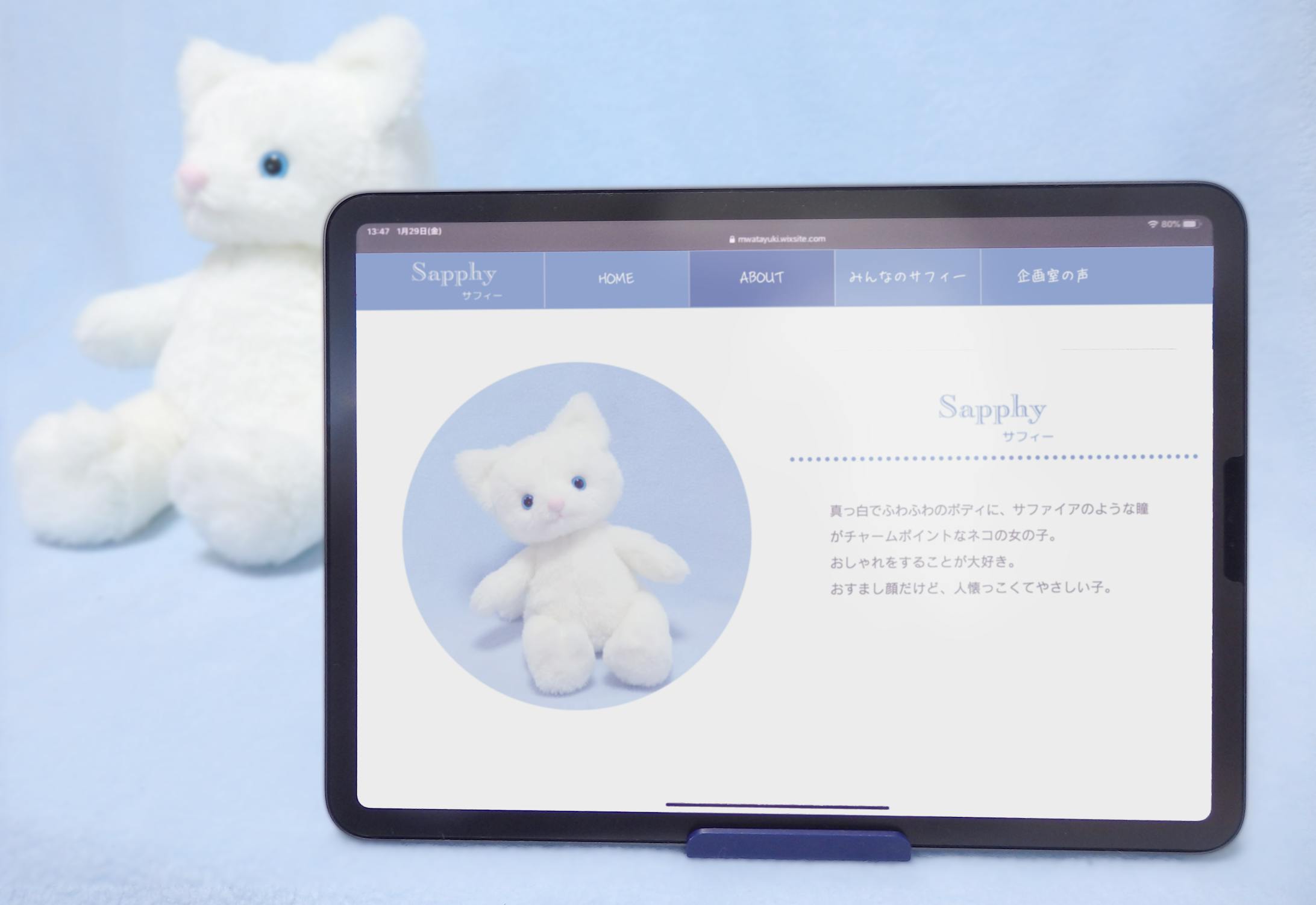 卒業制作におけるSapphy-1