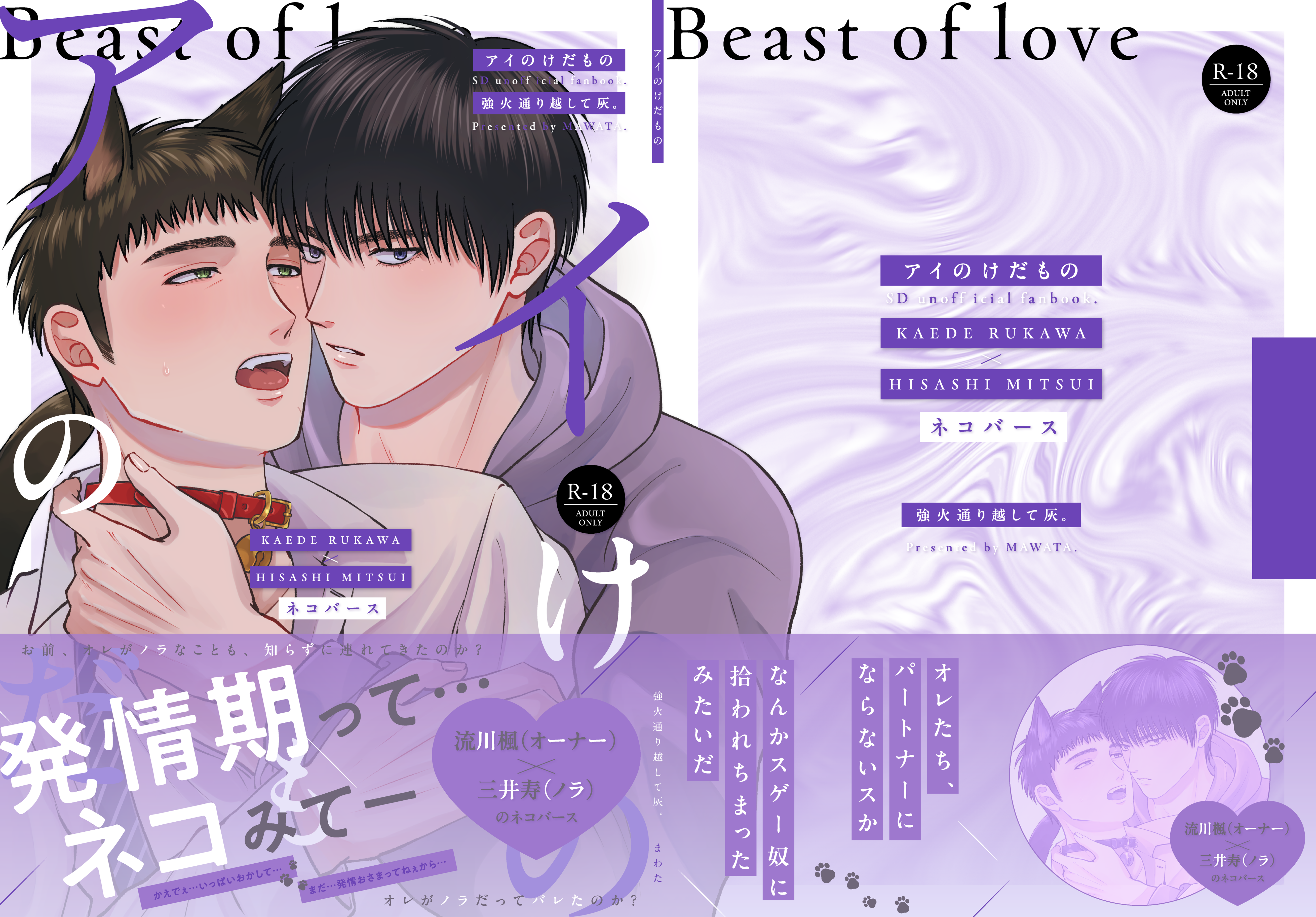 装丁デザイン-『アイのけだもの』-1