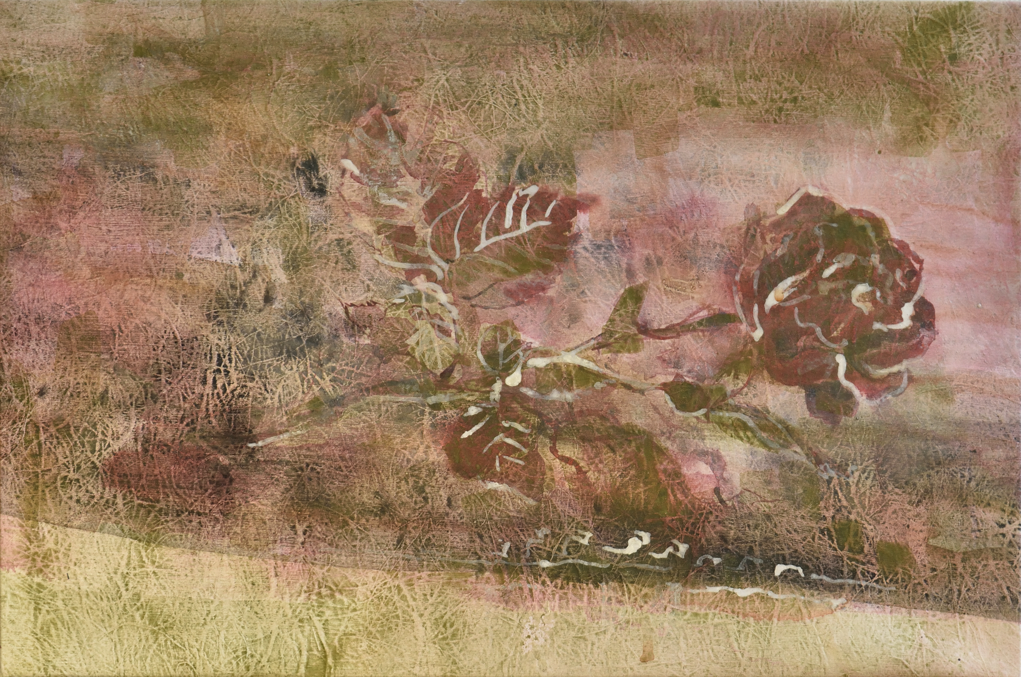 大きな手、小さな手、それとも(2024) -1