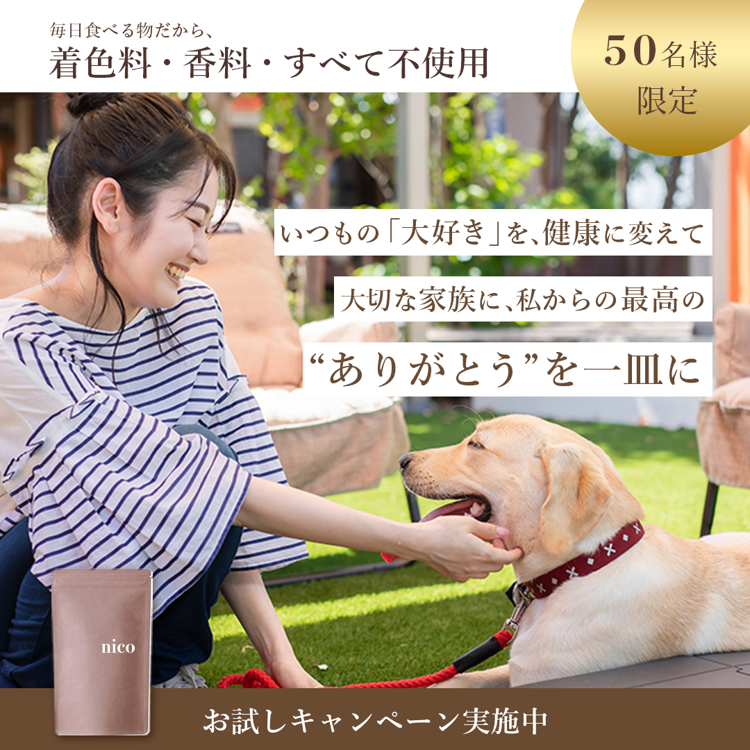 ペットフード広告バナー-1