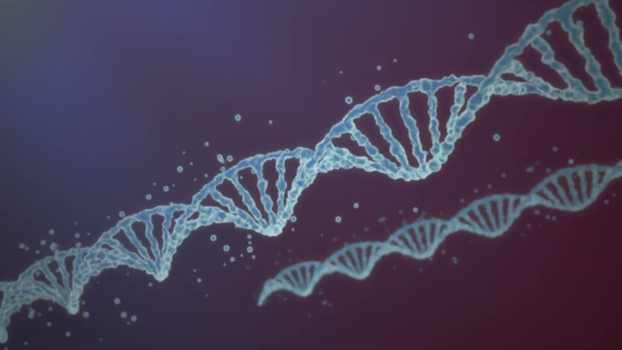 3DCGアニメーション  DNA