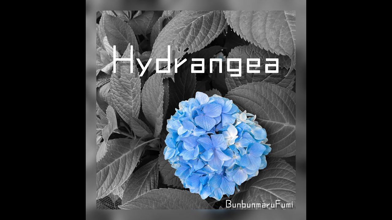【MV】Hydrangea　オリジナルインスト曲