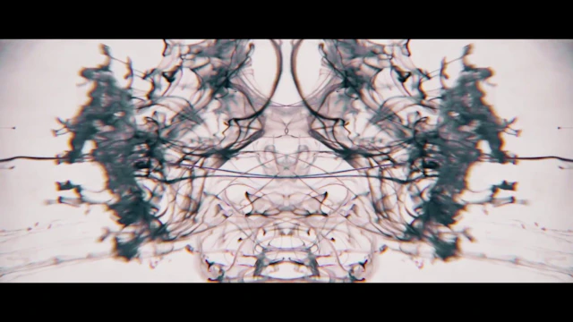 BURCH 透明 invisible