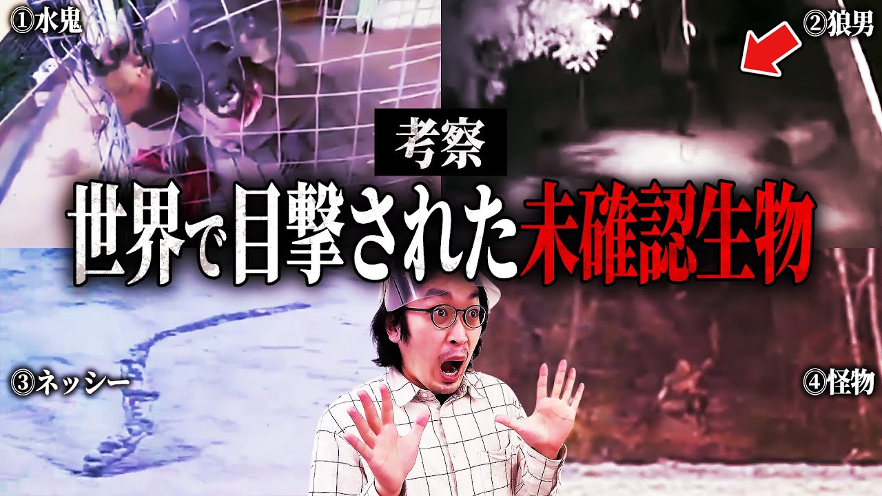 【UMA】カメラに映ってしまった未確認生物が気持ち悪すぎる【都市伝説】