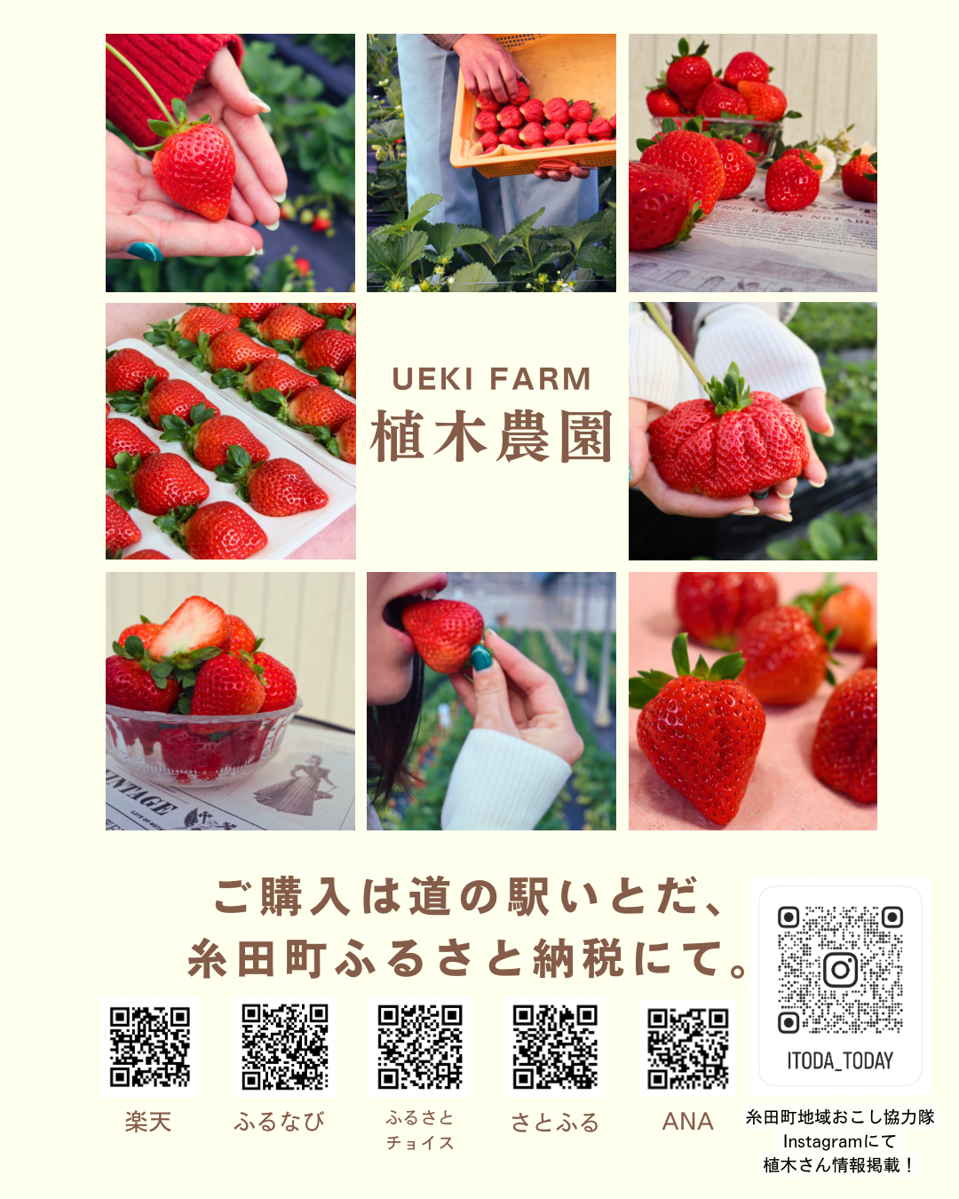 39AD938F B371 4CFB A2C3 0D95C3B249E1-1