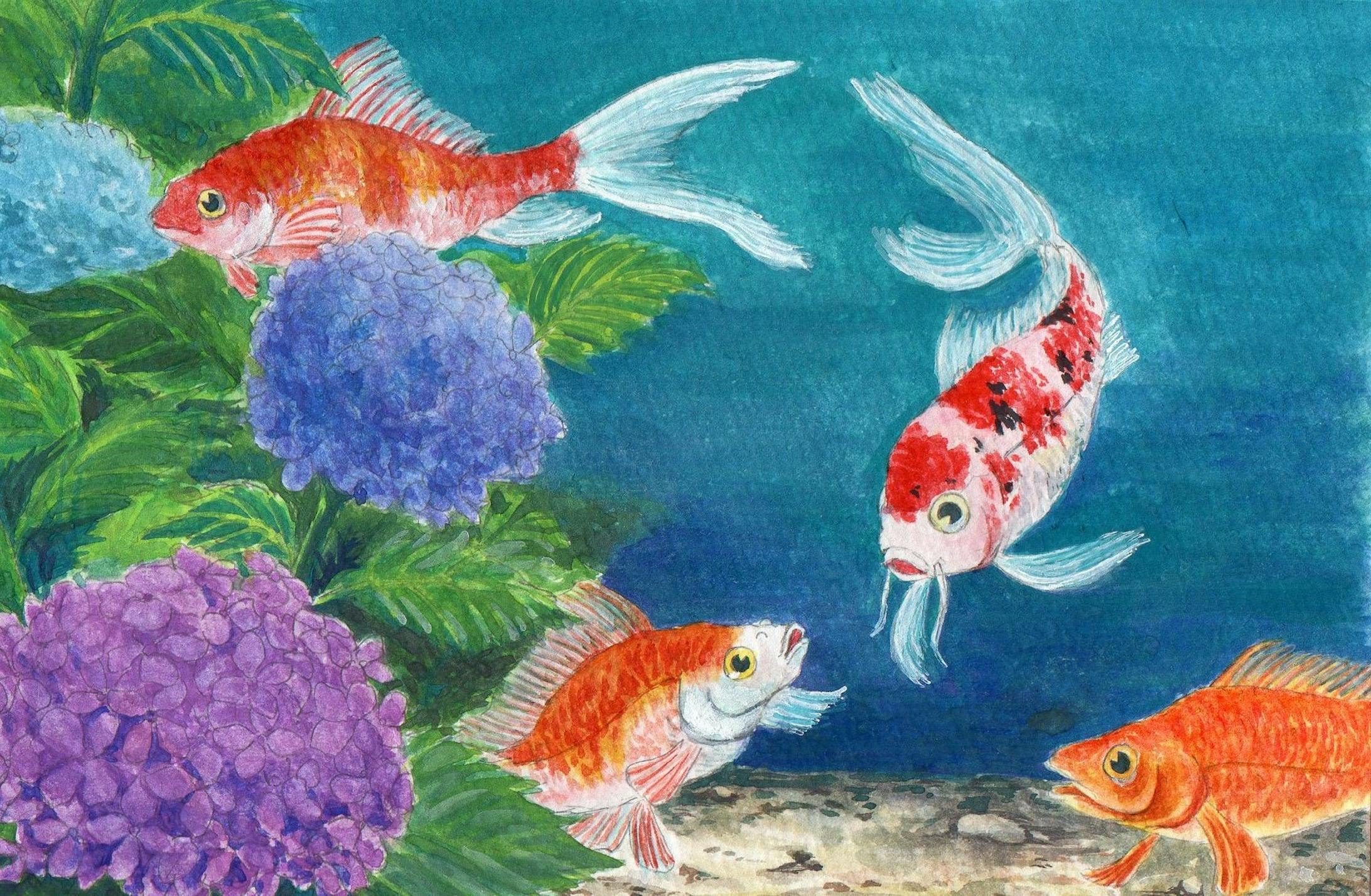 紫陽花と金魚と鯉-1