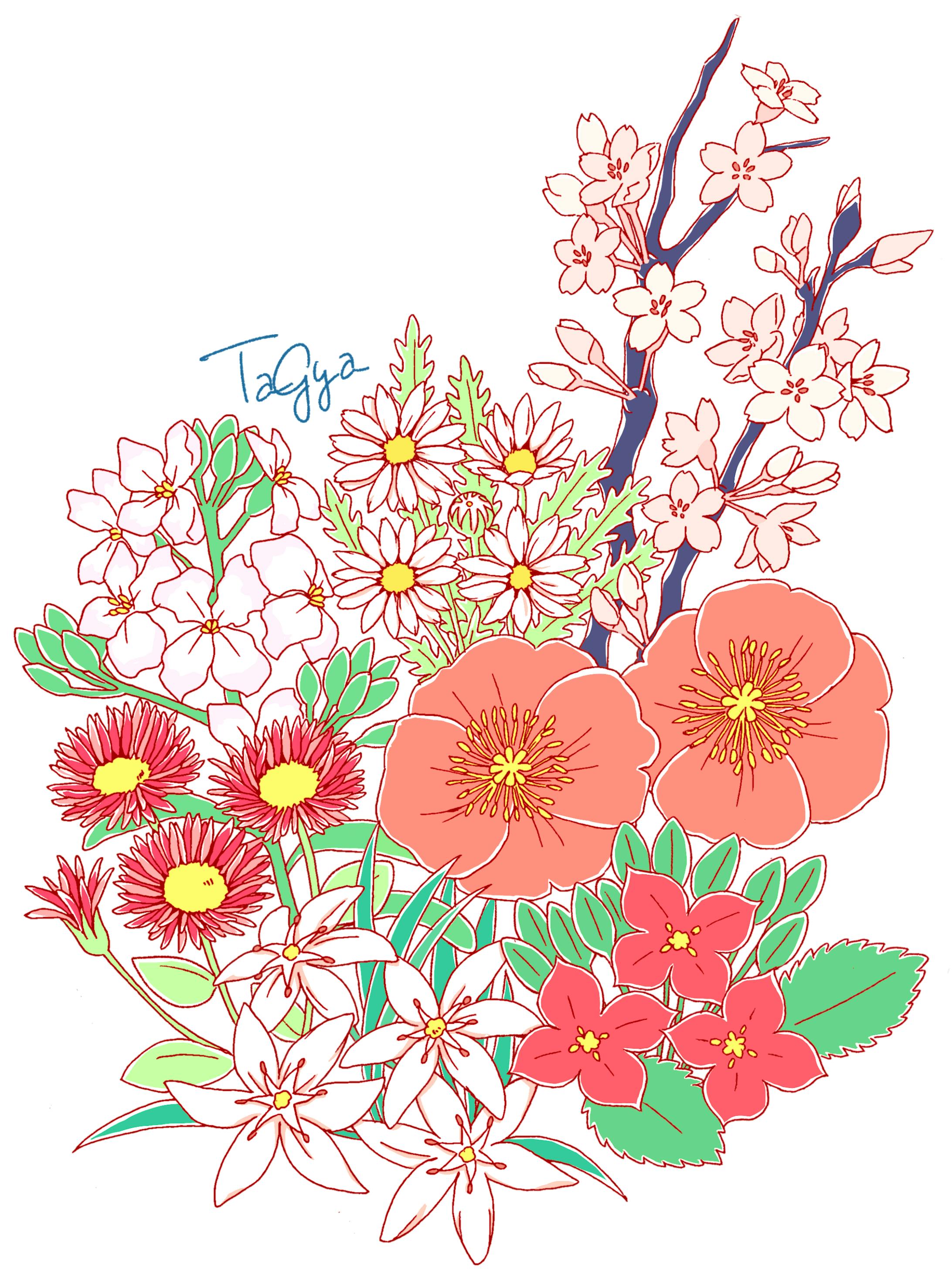 お花イラスト