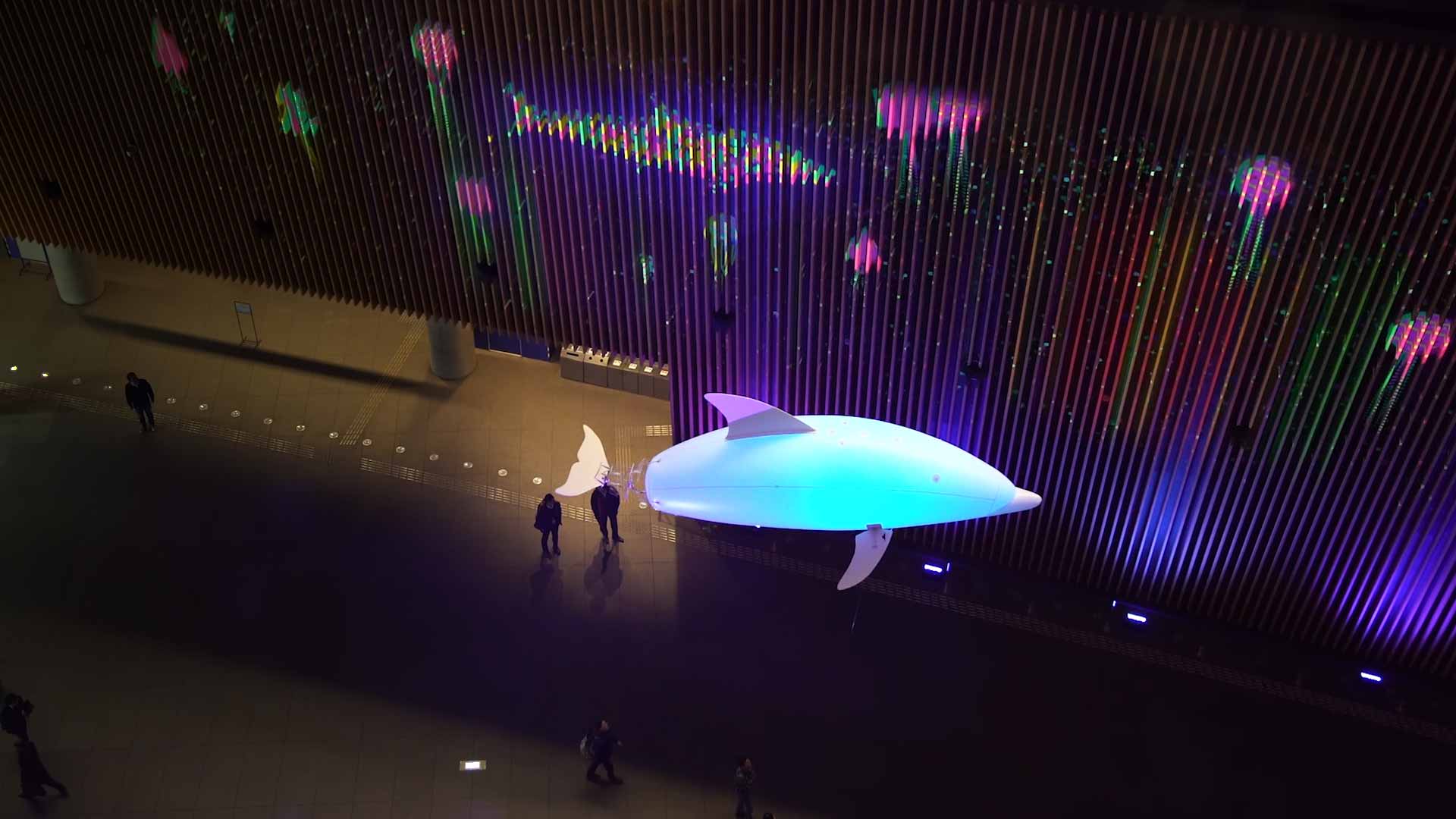 東京国際フォーラム開館 20 周年記念イベント「光のアクアリウム」｜WORKS｜P.I.C.S.