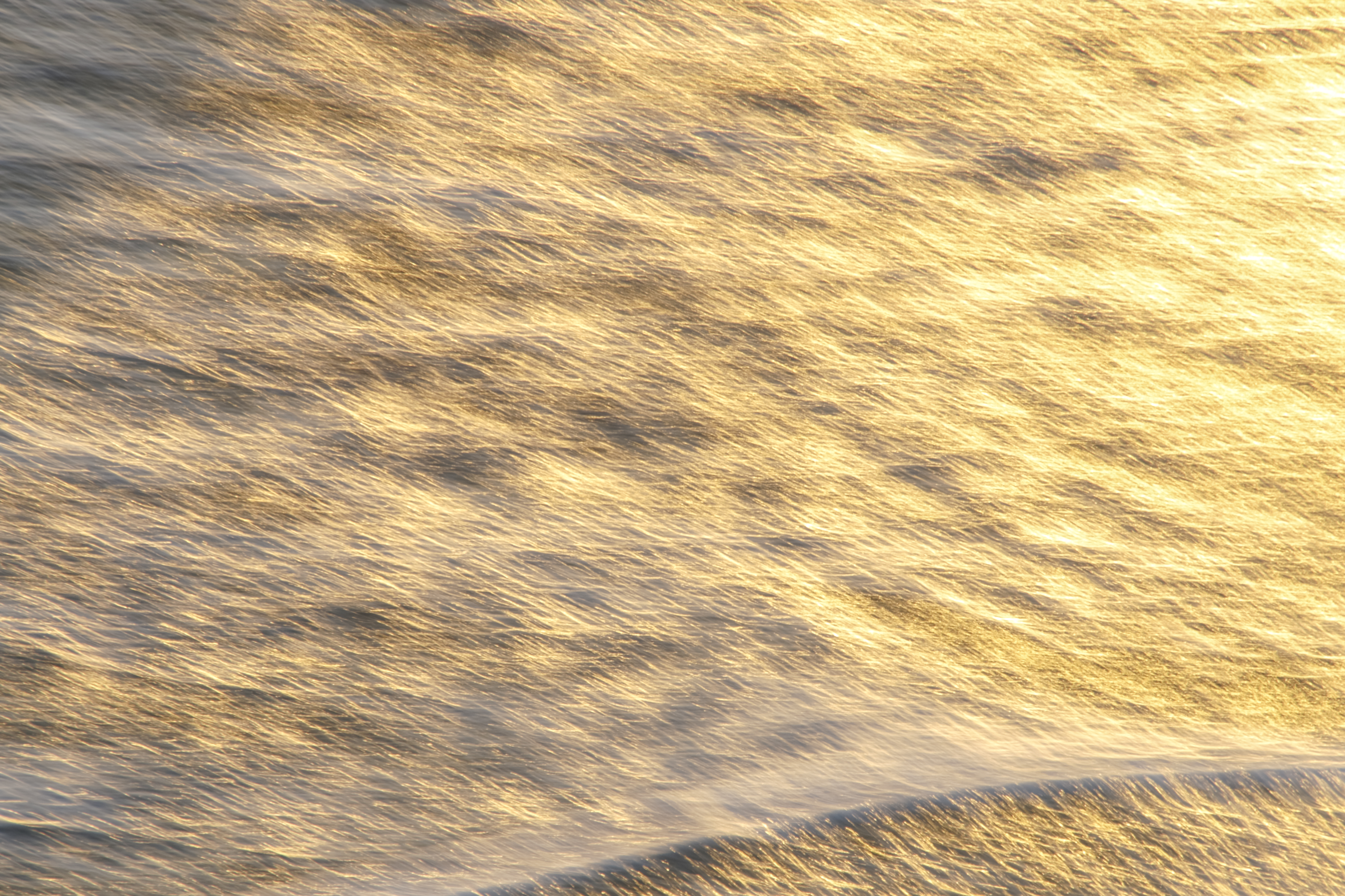 2021 写真倶楽部HOPE有志写真展 展示作品-1