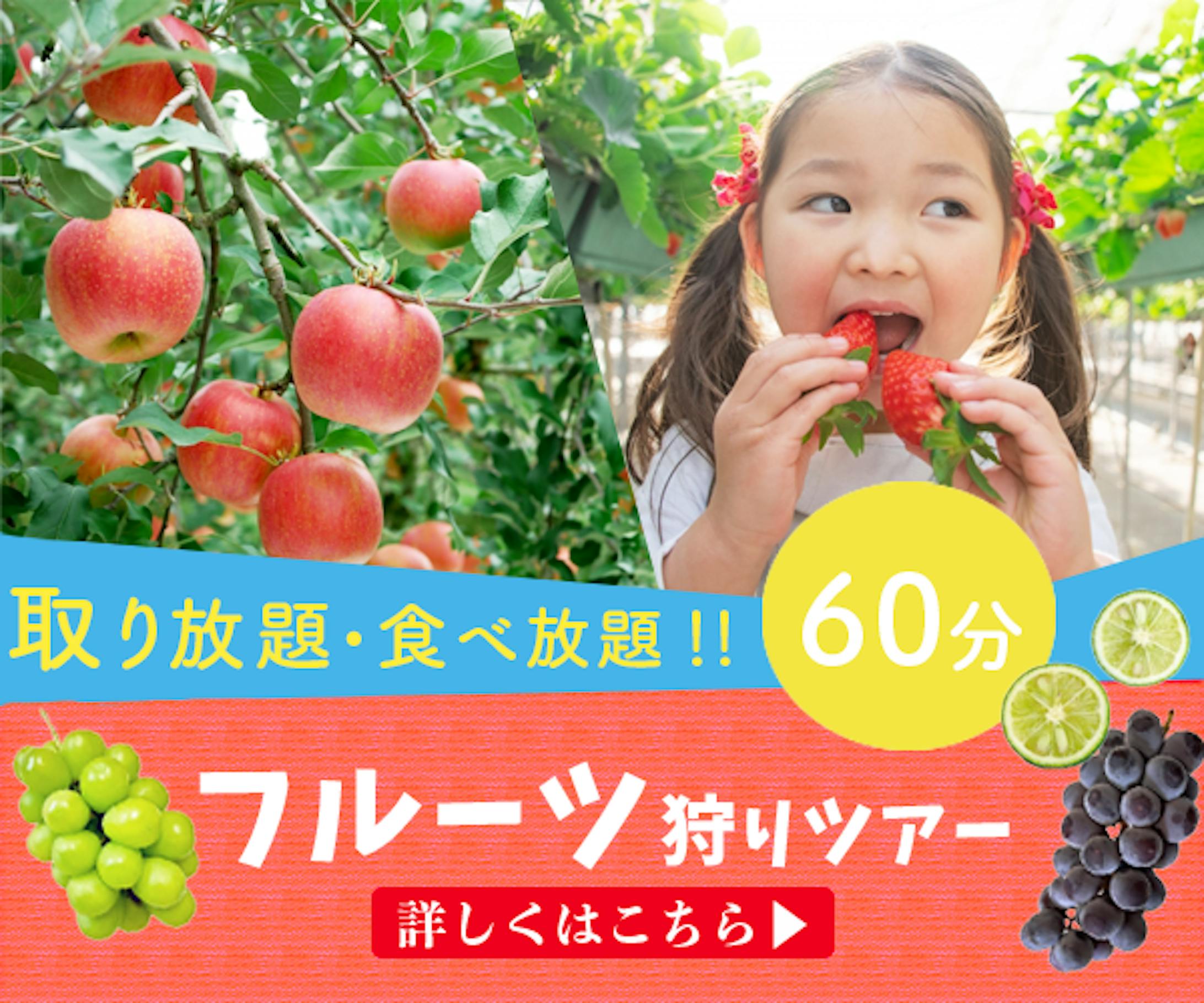 フルーツ狩り（スクール課題）-1