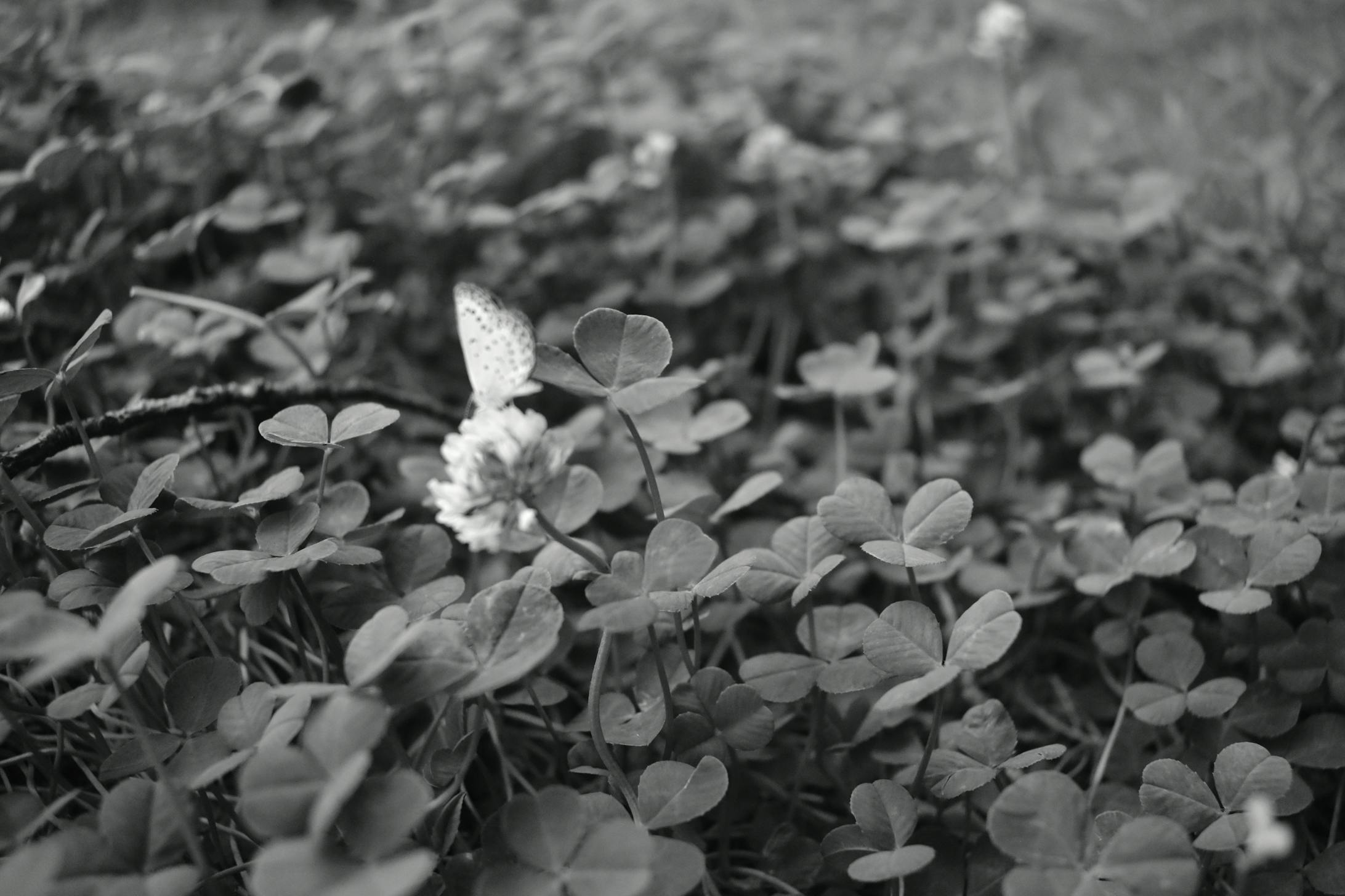 課題９/モノクロ写真撮影-1