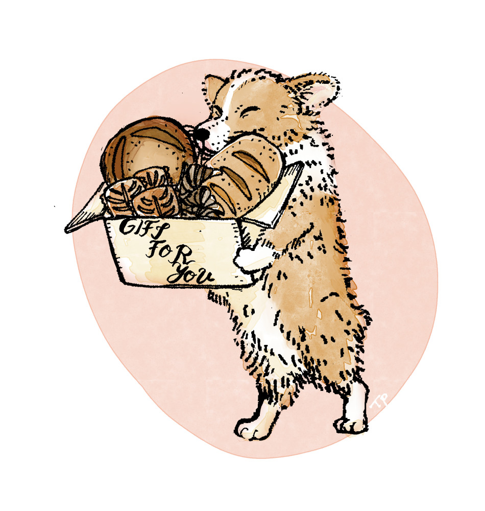 コーギーイラスト-1