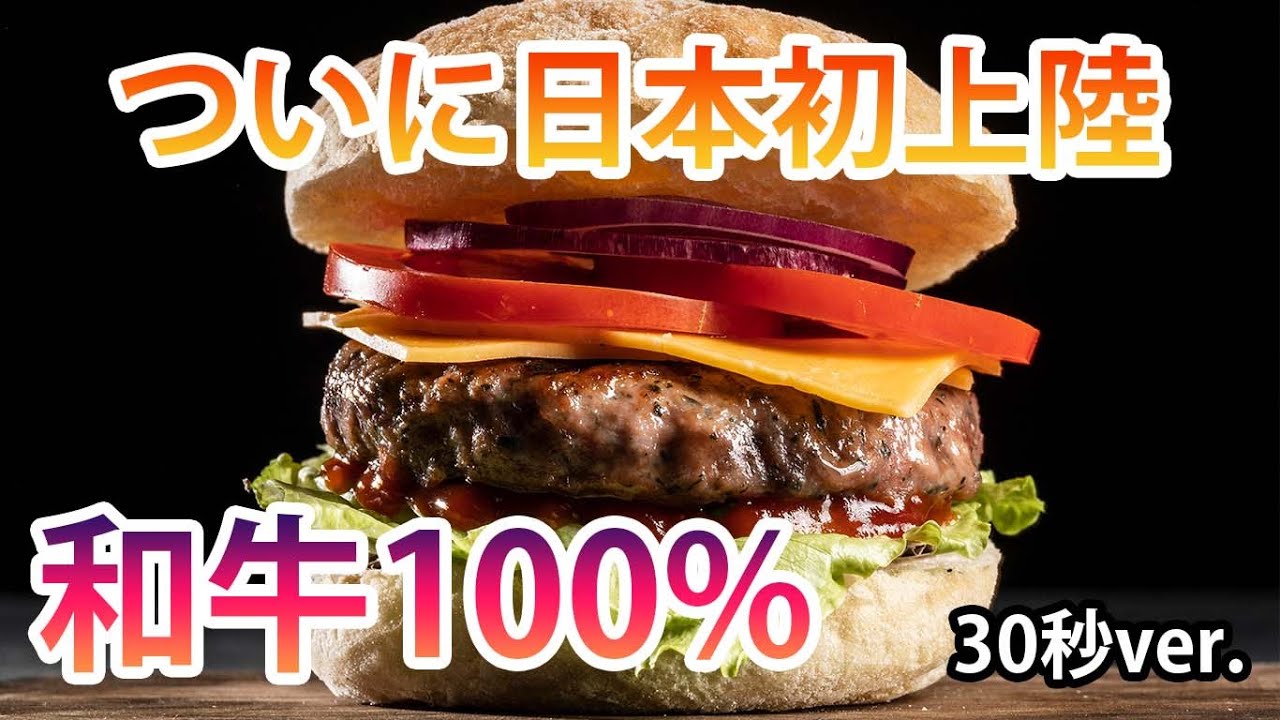 ハンバーガー広告動画（30秒ver ）
