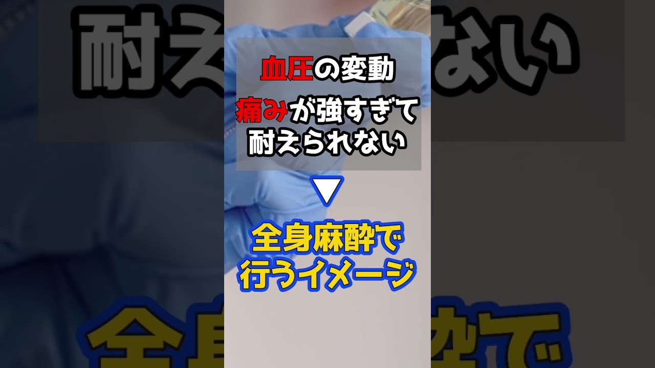 portfolio、全身
