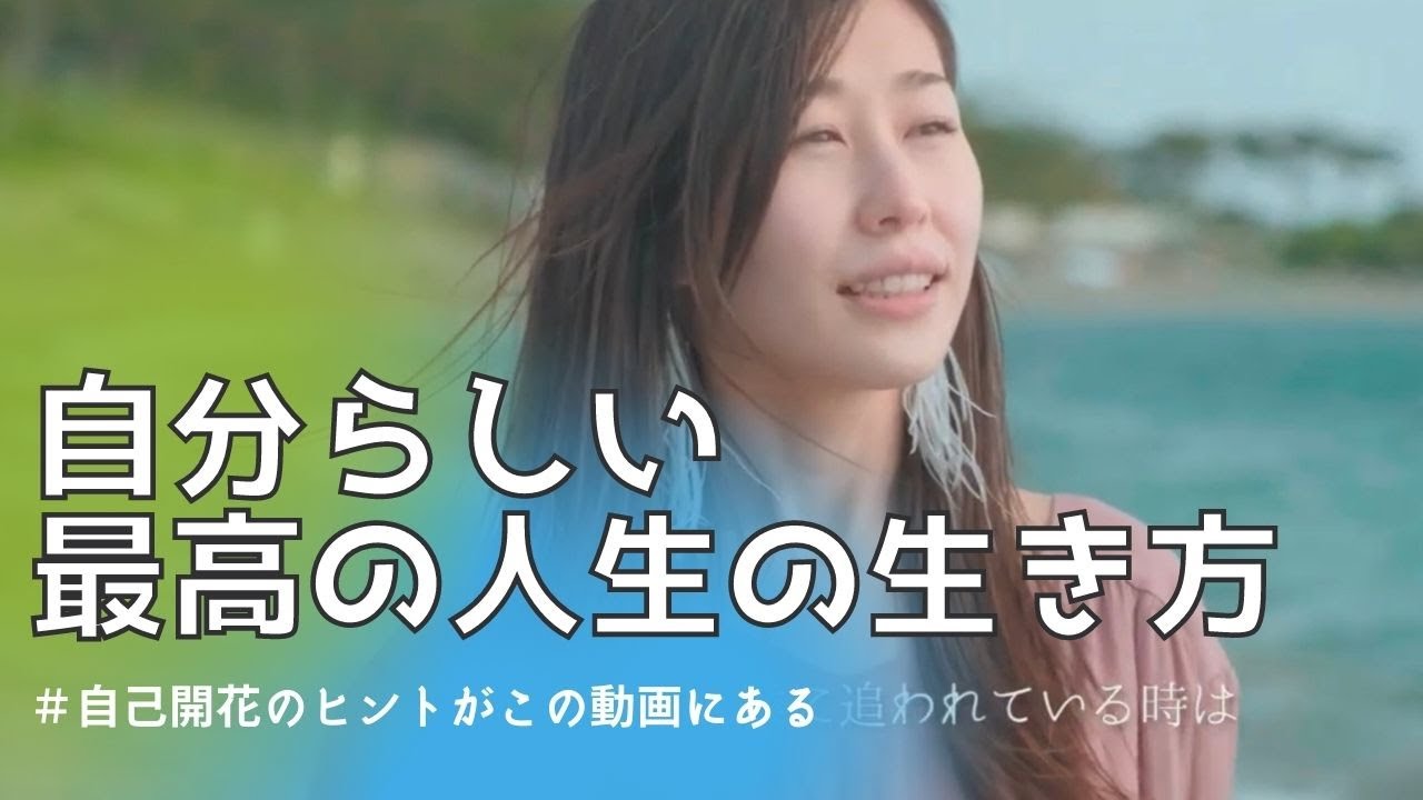 作品、ポートレート