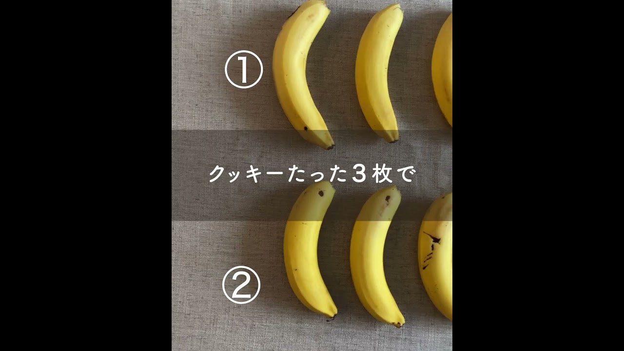 FruOats 「食物繊維不足」編