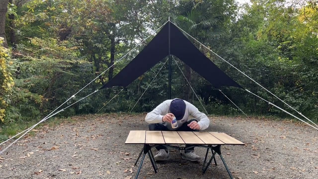 動画撮影、実績
