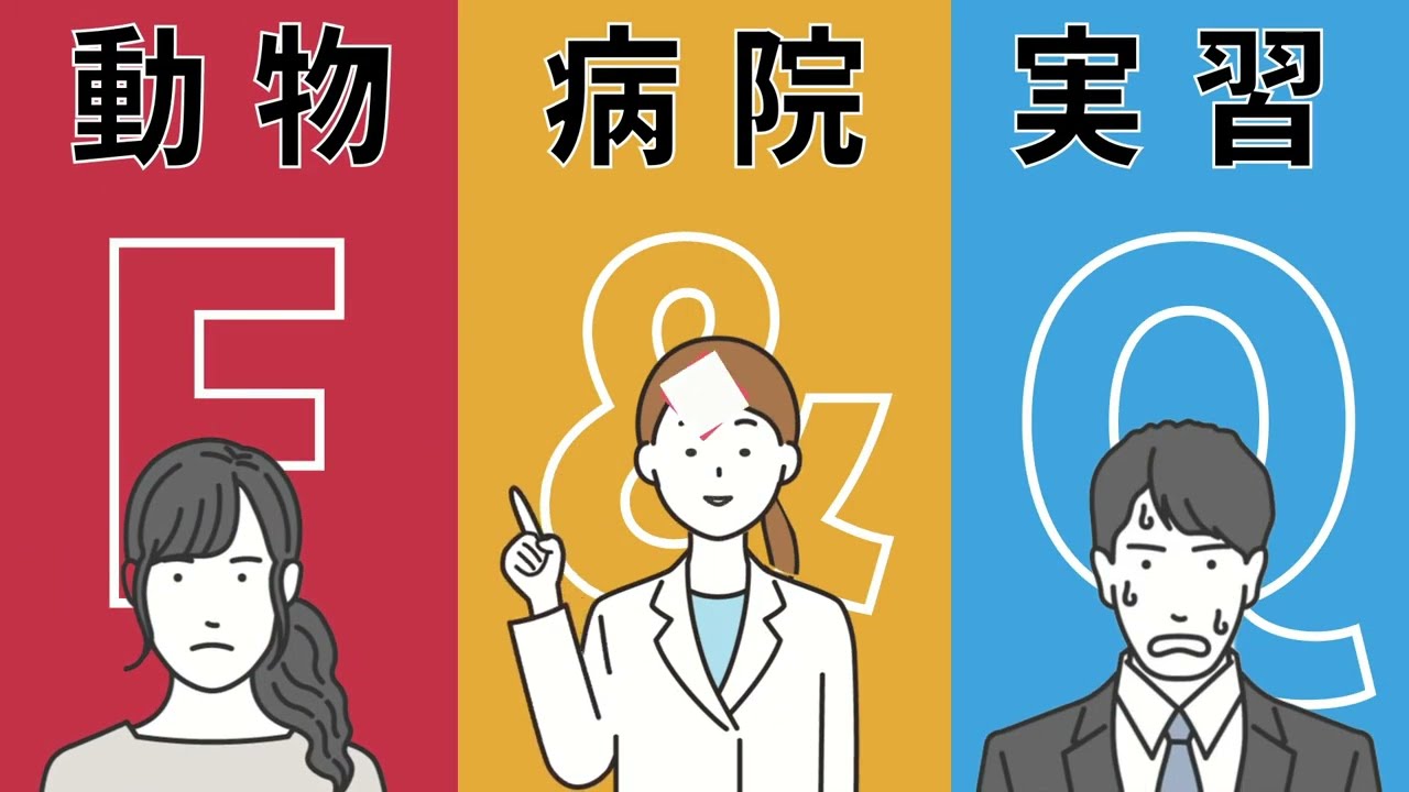 【制作事例】動物病院実習ツアー　F&Q動画【ビジネスアニメ】