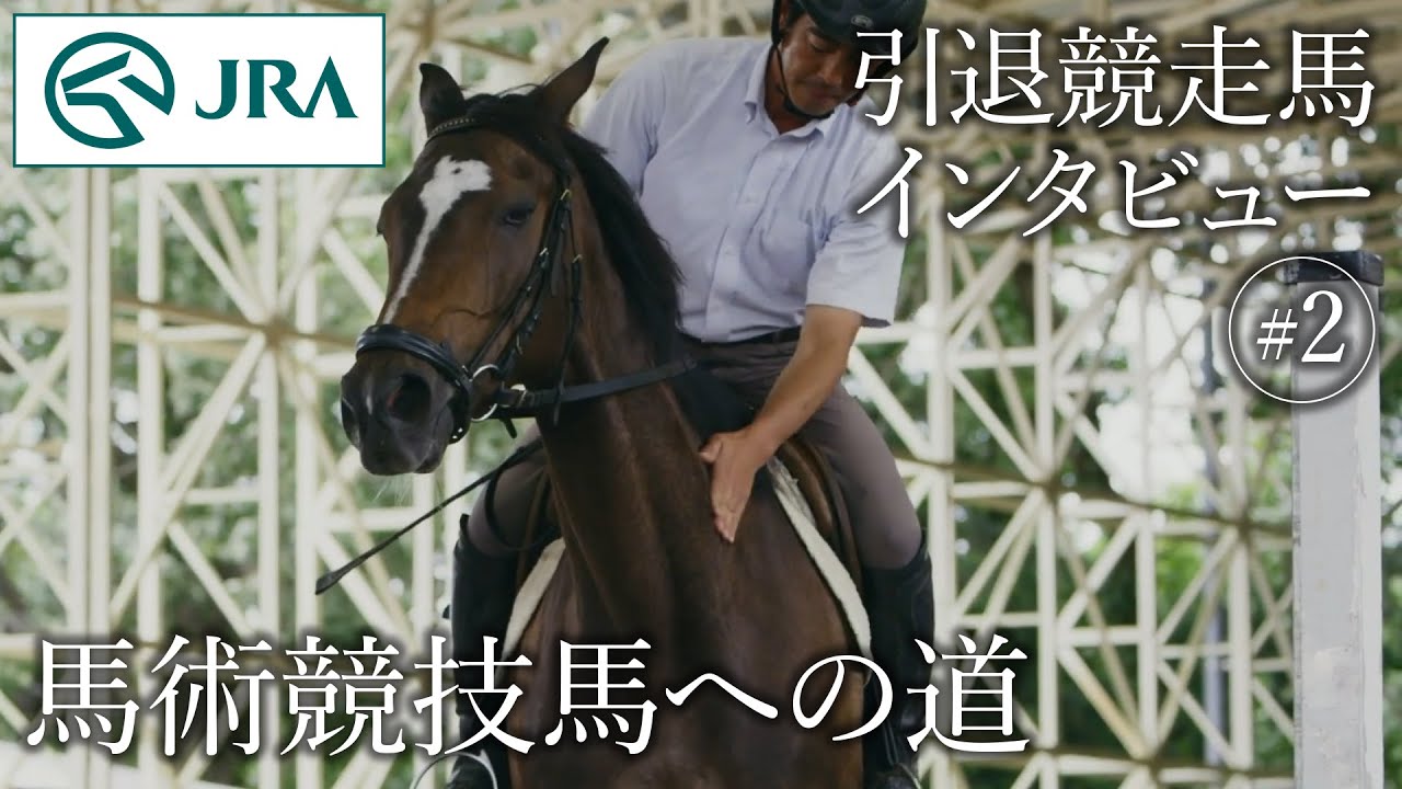 【引退競走馬インタビュー】#2 馬術競技馬への道 | JRA公式