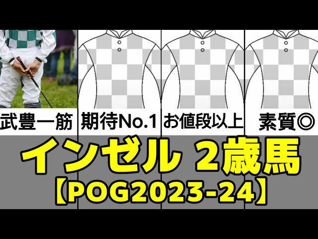 【一口馬主クラブ】インゼルTC好評2歳馬まとめ