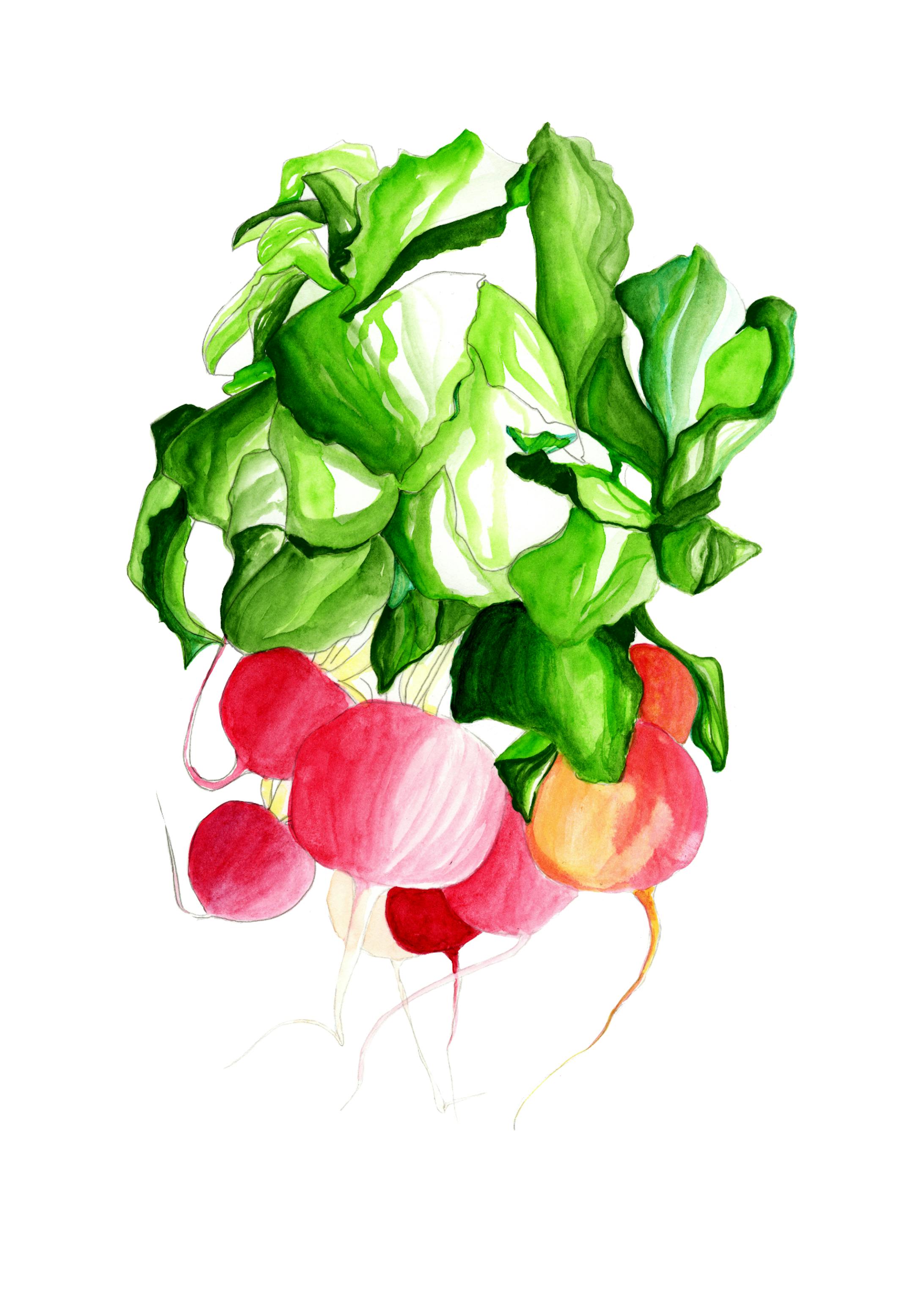 Colour Studies: Fruits'n'Veggies-5